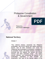 Philippine Constitution & Government Explained
