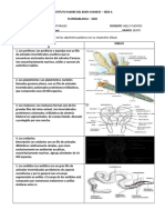 GUIAS_CIENCIAS_NATURALES_SEXTO3 (2).docx