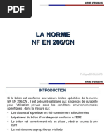 NF EN 206 CN Pour Matinales CFEC PDF