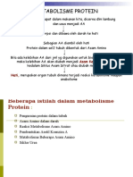 PROTEIN METABOLISME