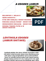 Lentinula Edodes (Jamur Shitake)