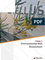 Environmental-risk-assessment Chapter.pdf