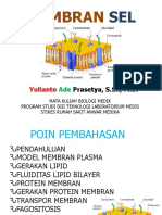 Membran Sel PDF