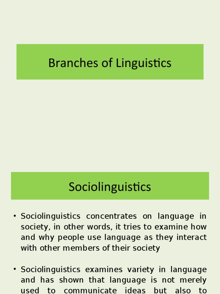 Branches of Linguistics | PDF