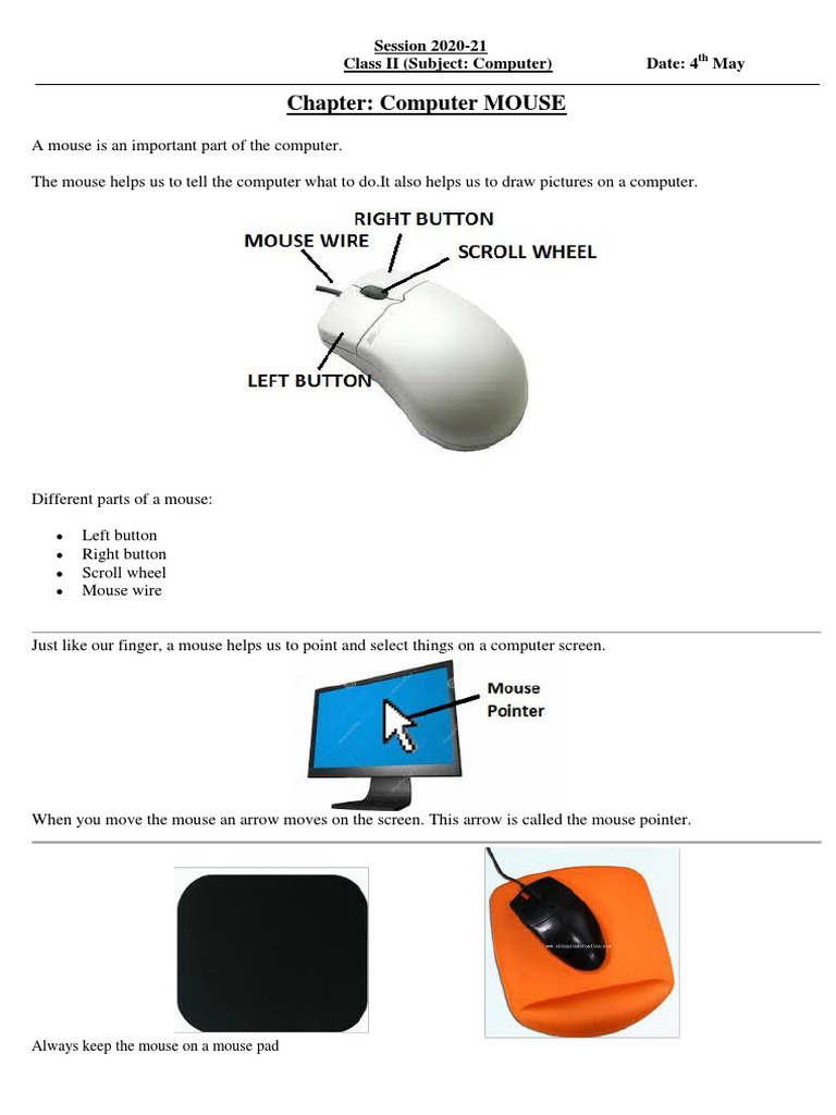 Class 2nd Computer Worksheet (4th May) | PDF | Point And Click | Double  Click, image size:768x1024