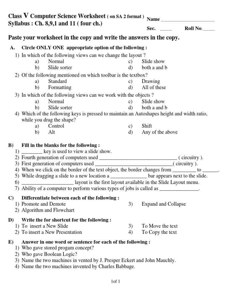 Class 5 Computer Science Worksheet | PDF | Algorithms | Computing