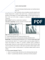 3 Microbiologia PAP (PAA Prurulenta) PDF