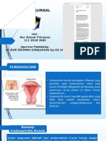 Endometritis