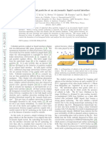 Behavior of Colloidal Particles at A Nem PDF