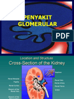Glomerulo Disease