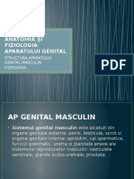 Anatomia Şi Fiziologia Aparatului Genital Masculin