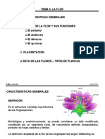 Tema 6.1 La Flor Parte 1