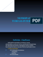Curs 3 - Nefropatiile Tubulo - Interstitiale