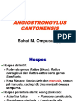 6 Angiostrongylus PDF