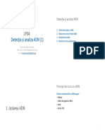 LP04_genetica_web (1).pdf