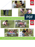 Planting, Growing and Caring For Trees