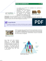 T3 - Los Sistemas Económicos PDF