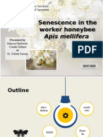 Senescence in The Worker Honeybee Senescence in The Worker Honeybee