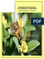 Ensayo Melipoliponas PDF2