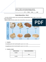 Ficha Metamórfic PDF