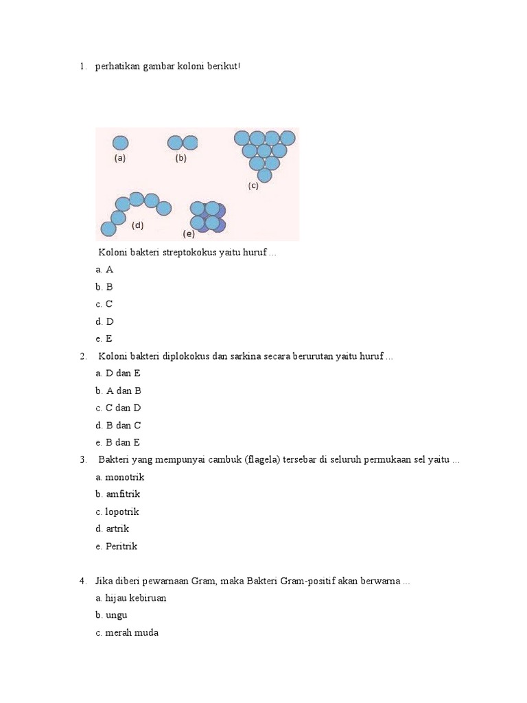 Soal Bakteri