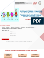 Instrumentos de Evaluacion Evaluacion Cneb - 2019