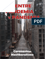 entre-pandemia-y-pandemia-coronavirus-y-neoliberalismo