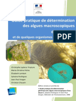 Guide Algue - 2015 01 08versionpdf