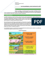 Sexto - Sociales - 2 PDF