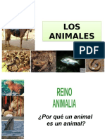 Los animales.pptx