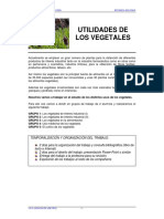 UTILIDADES DE LOS VEGETALES