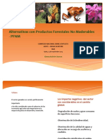 Alternativas con Productos Forestales No Maderables - PFNM