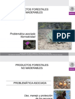 PRODUCTOS FORESTALES NO MADERABLES