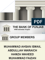 Bank of Punjab HRM Project