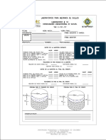 Formatos Consolidación PDF