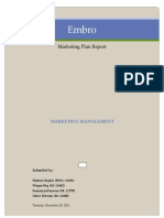 Embro: Marketing Plan Report