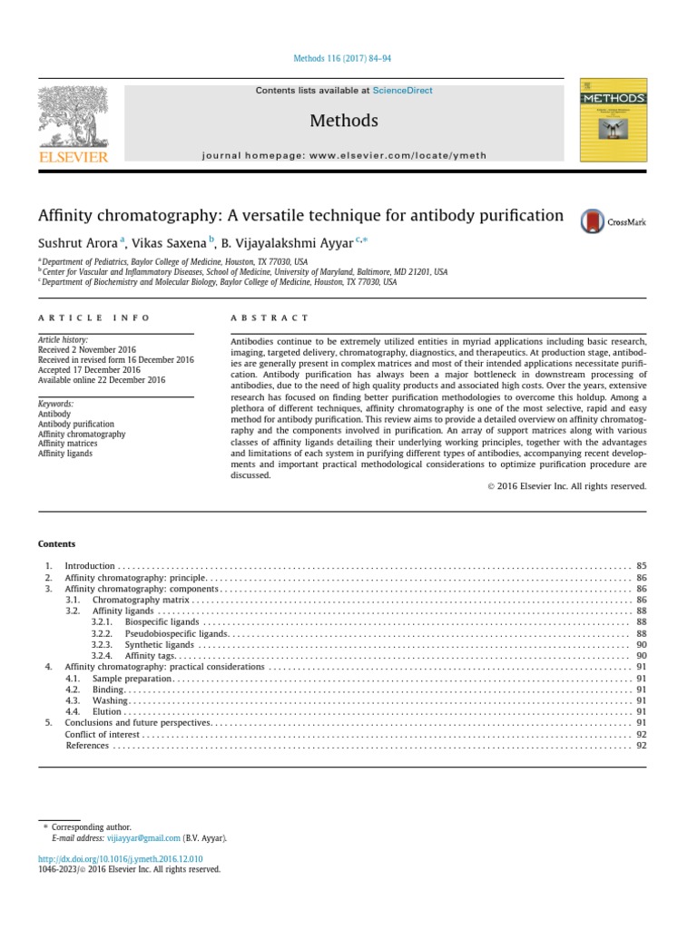 Affinity Chromatography for Antibody Purification | PDF | Antibody ...