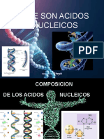 ACIDOS NUCLEICOS