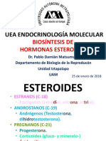 3 - Biosintesis de Hormonas Esteroides