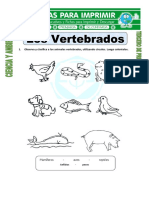 Ficha de Los Vertebrados Para Tercero 