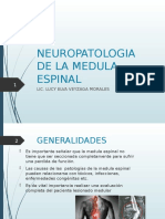 Neuropatologia de La Medula Espinal