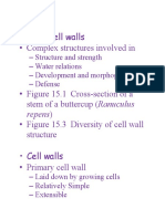 Plant Cell Walls - Complex Structures Involved In: Repens)
