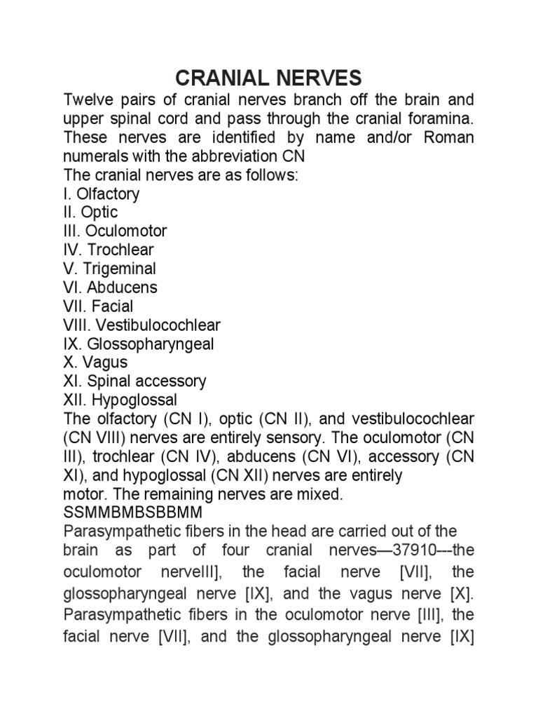 Nerves | PDF | Primate Anatomy | Human Head And Neck