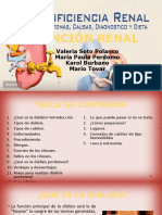 Función Renal Final