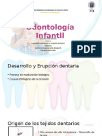 Desarrollo-y-erupción-dentaria-OI1.pptx