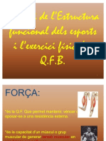 AEFEEF_QFB_Forca_16.11.10
