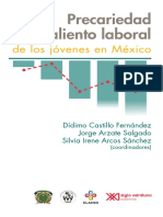 Precariedad-Y-Desaliento-Laboral. 2019 PDF