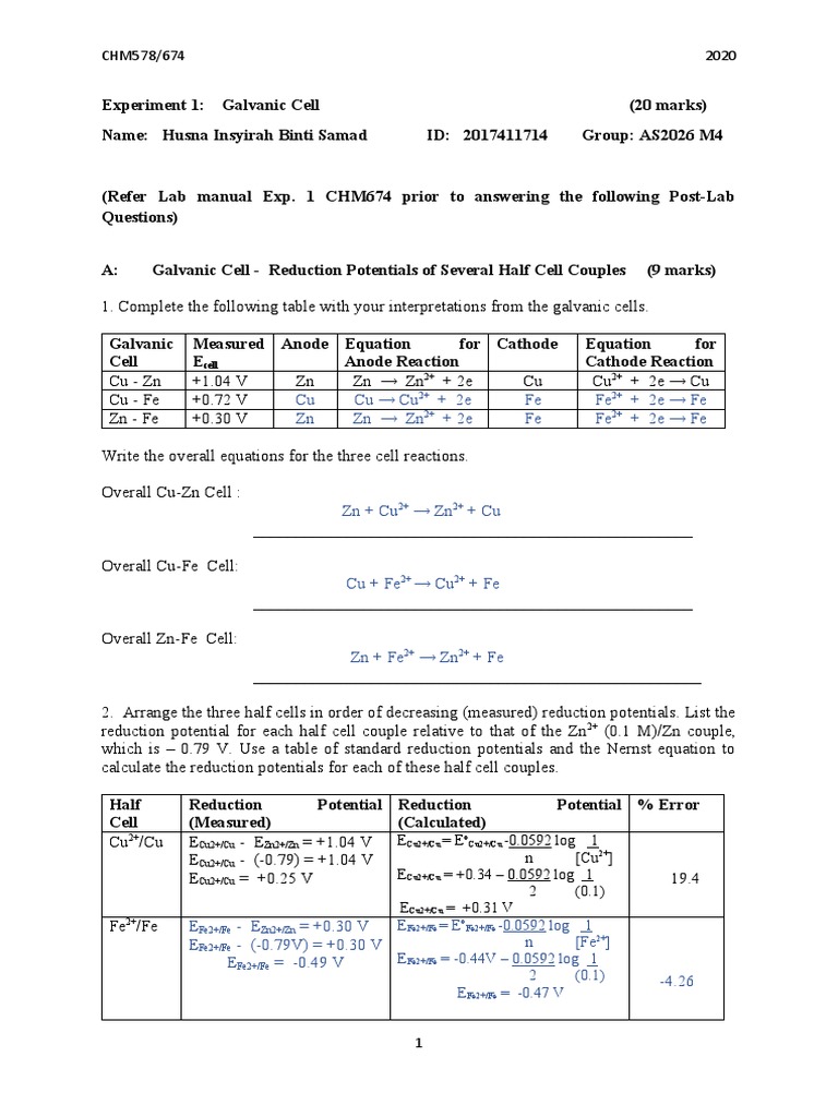 Galvanic Cell Experiment Analysis | PDF | Membrane Potential | Redox