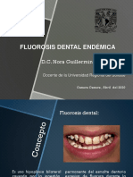 Fluorosis Dental Endémica PDF