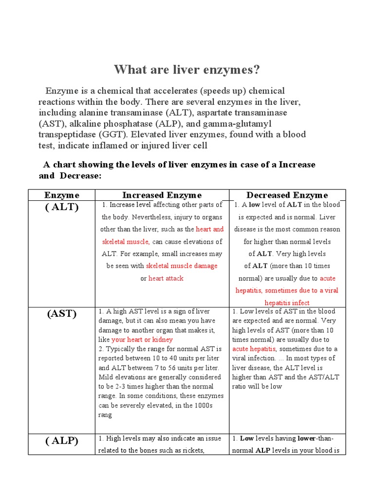 What Are Liver Enzymes PDF Alanine Transaminase Exocrine System